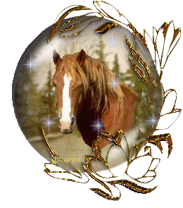 cheval 