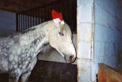 galante